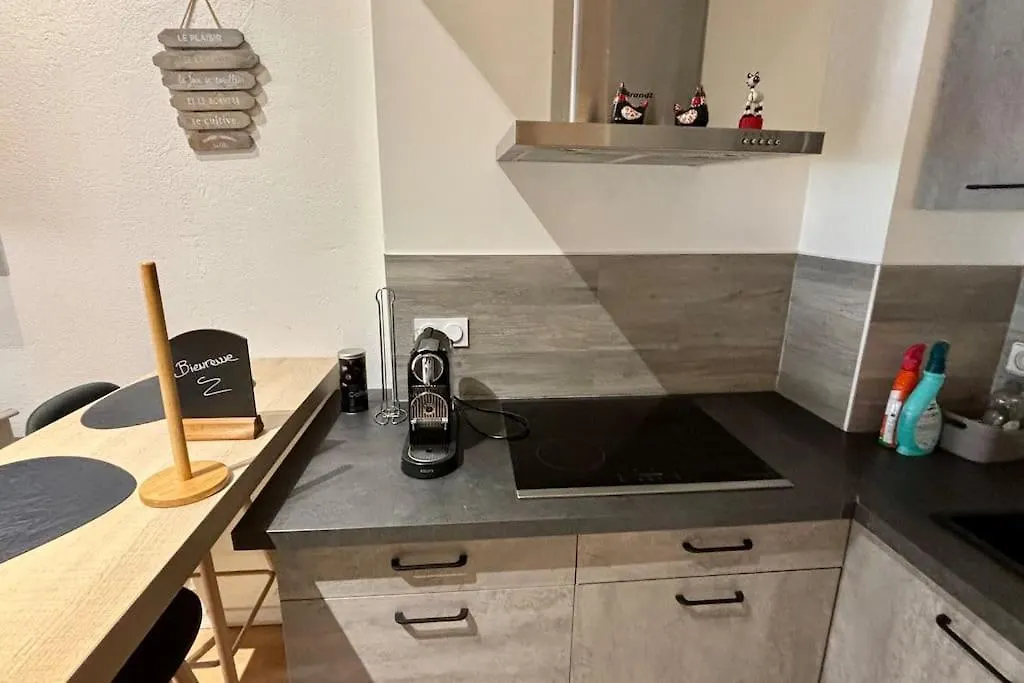 Charmant T2 En Duplex Avec Vue Sur Le Lac Leman Apartment Nernier France