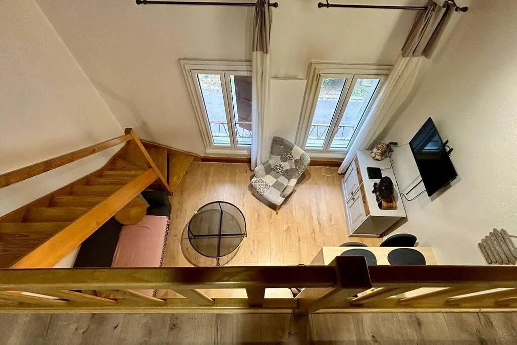 Charmant T2 En Duplex Avec Vue Sur Le Lac Leman Apartment Nernier