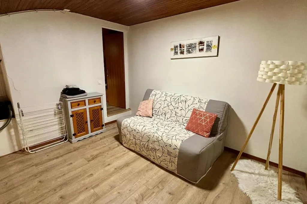 Charmant T2 En Duplex Avec Vue Sur Le Lac Leman Apartment Nernier 0*,