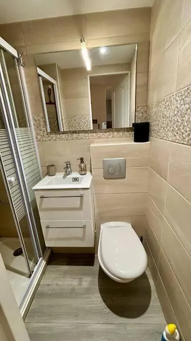 Charmant T2 En Duplex Avec Vue Sur Le Lac Leman Apartment Nernier