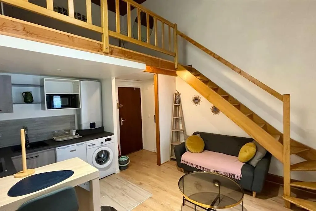 Charmant T2 En Duplex Avec Vue Sur Le Lac Leman Apartment Nernier 0*,  France