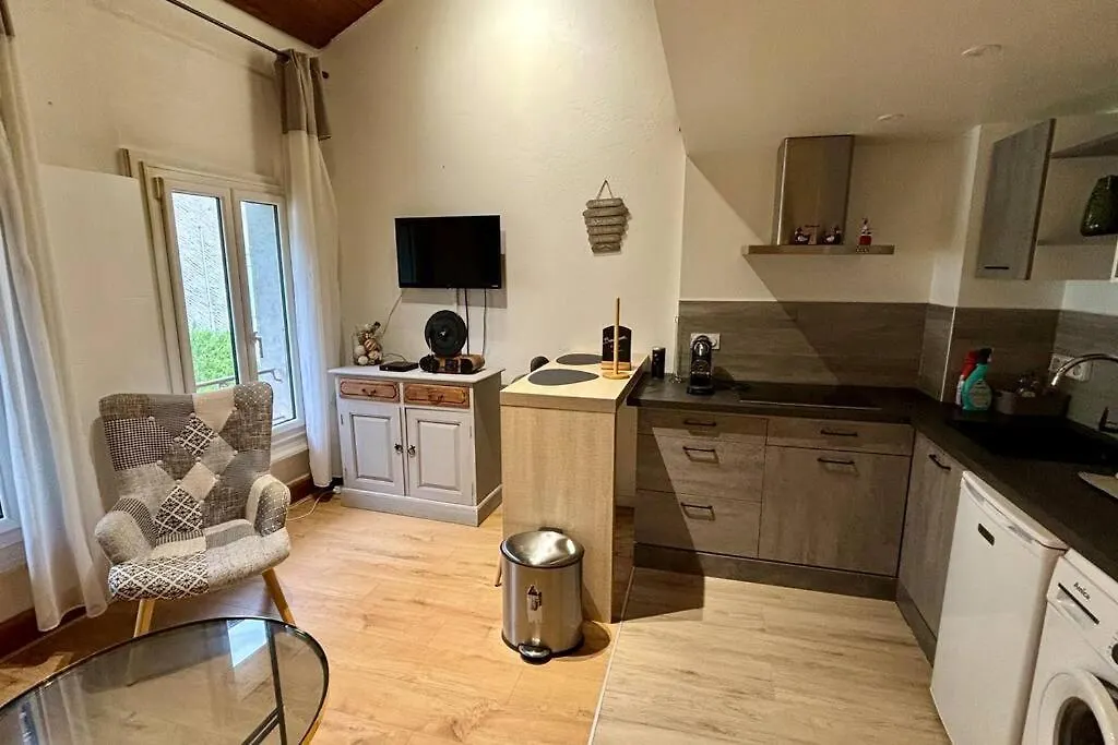 Charmant T2 En Duplex Avec Vue Sur Le Lac Leman Apartment Nernier